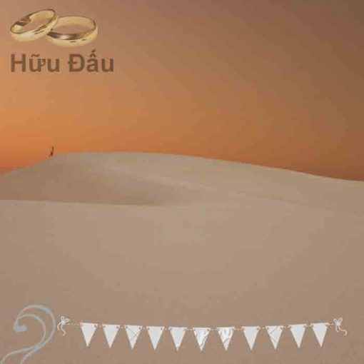 hữu đấu